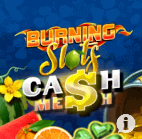 play burning slots in rolldorado casino